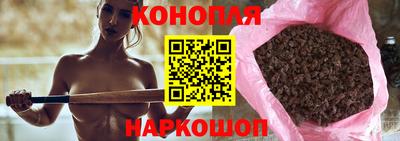 дживик Пенза